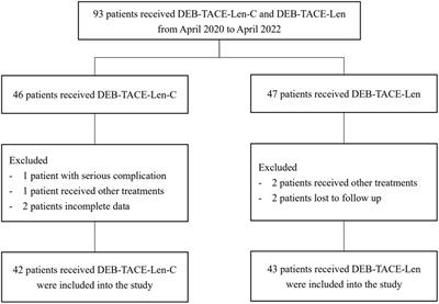 Safety and efficacy of DEB-TACE in combination with lenvatinib and camrelizumab for the treatment of unresectable hepatocellular carcinoma (uHCC): a two-centre retrospective study